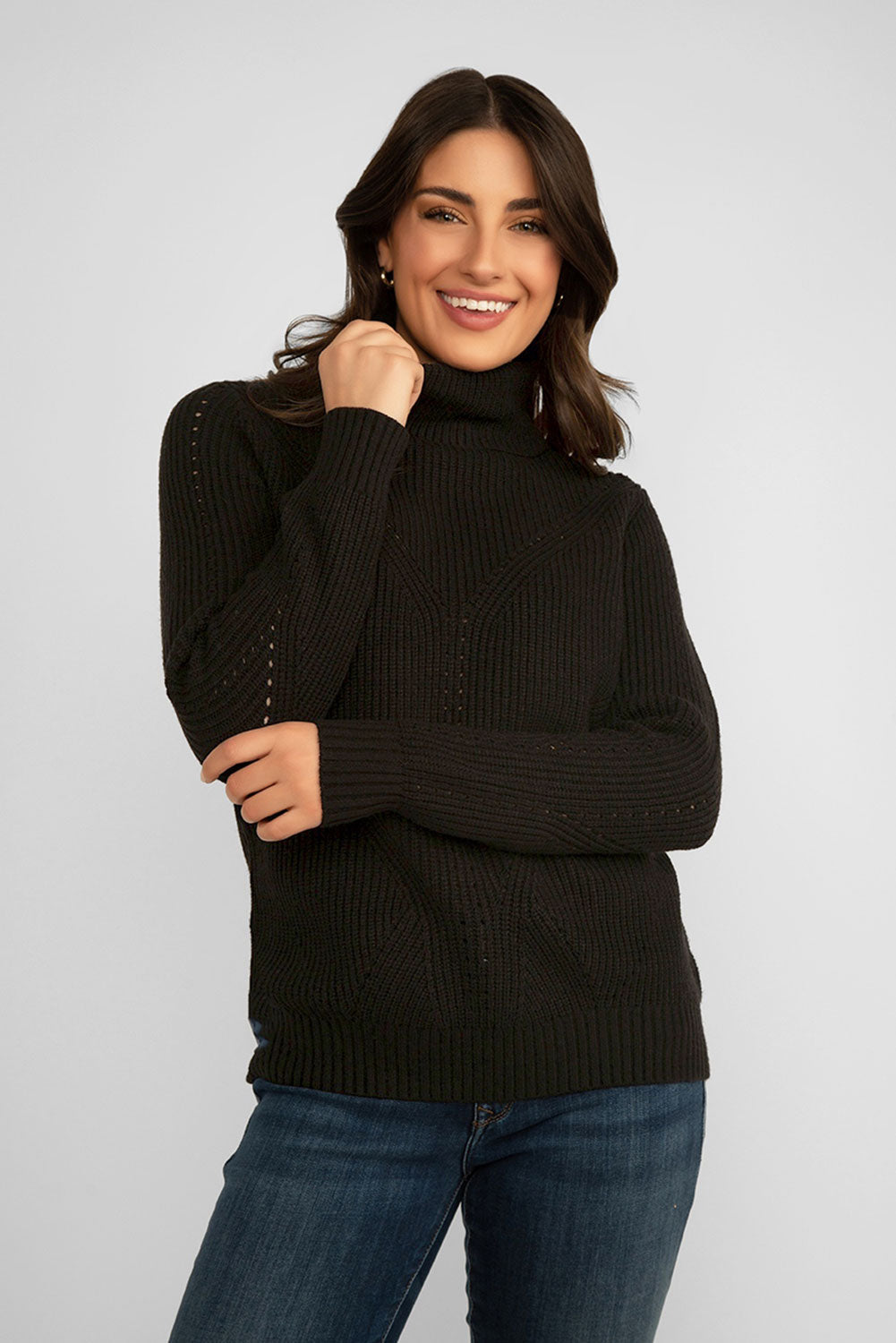 Women's Clothing ALISON SHERI (A42048) Ribbed Turtle Neck Sweater in BLACK