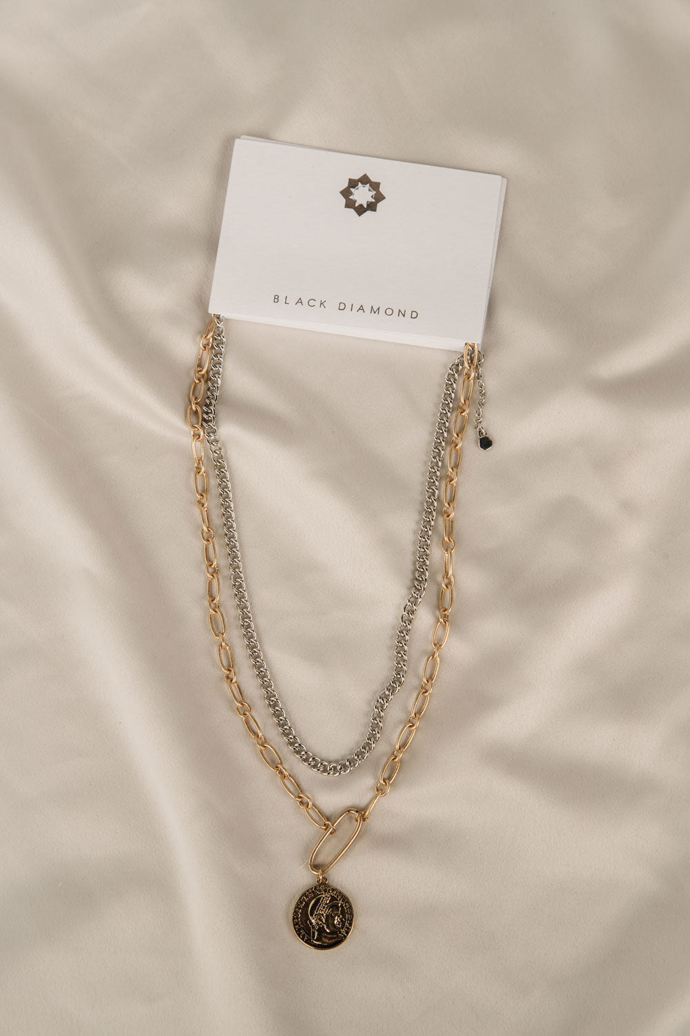 Double Strand Chain & Coin Necklace