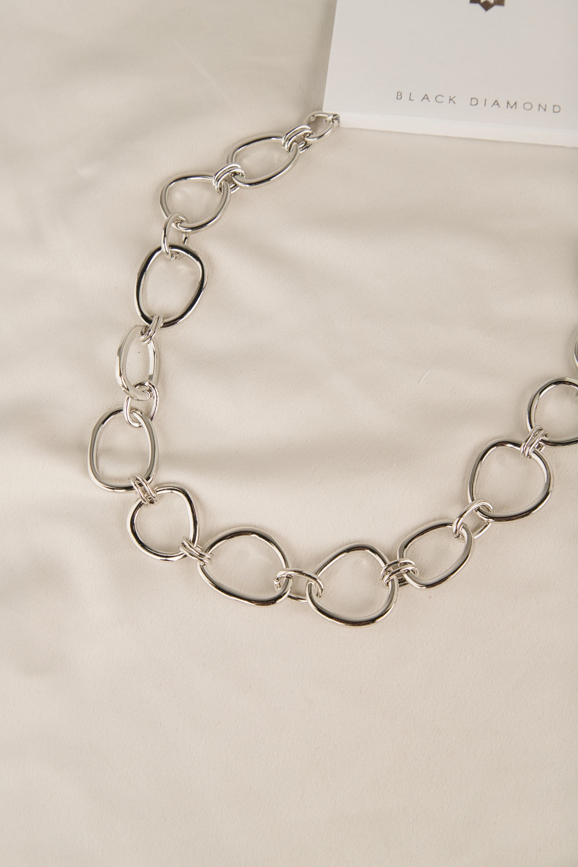 Large Circle Link Necklace