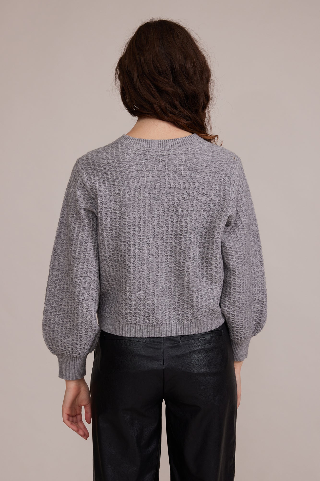 Back view of Lucy Paris (SW2953) Women's Long Sleeve Crew Neck Textured Percy Sweater in Grey